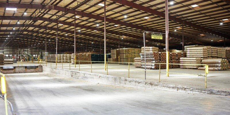 Lake City Western Green plant