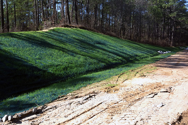Partially vegetated hillside with erosion control system
